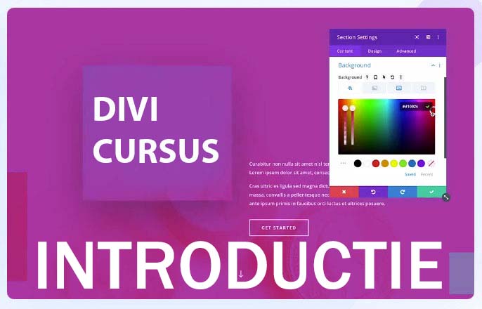 divi-basis-cursus introductie nederlands