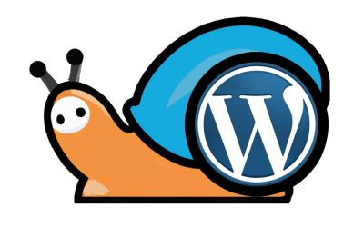 Waarom wordt een WordPress site langzamer?