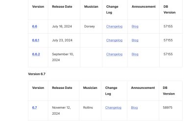 foutmelding na WordPress upgrade naar 6.7?